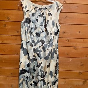 Ann Taylor Silk Dress